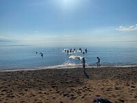 Nieuwjaarsduik