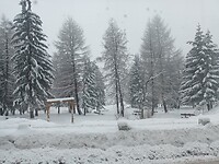 Sneeuw