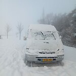 Soort van ingesneeuwd
