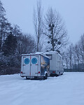 Sneeuw