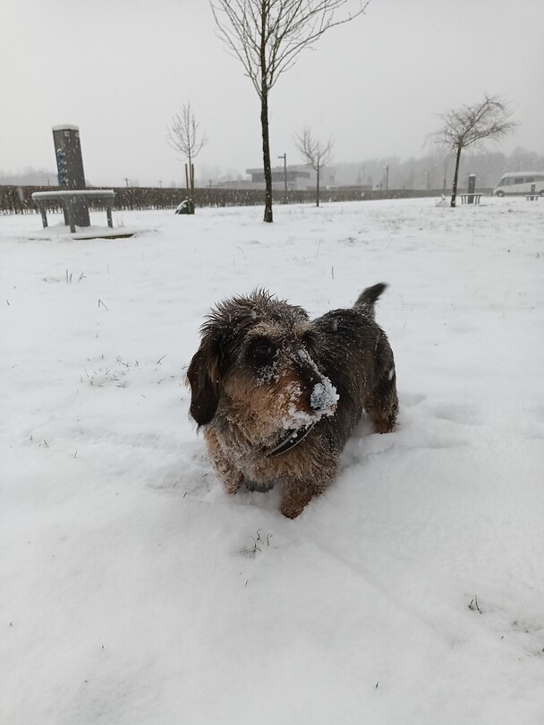 Steeds meer sneeuw