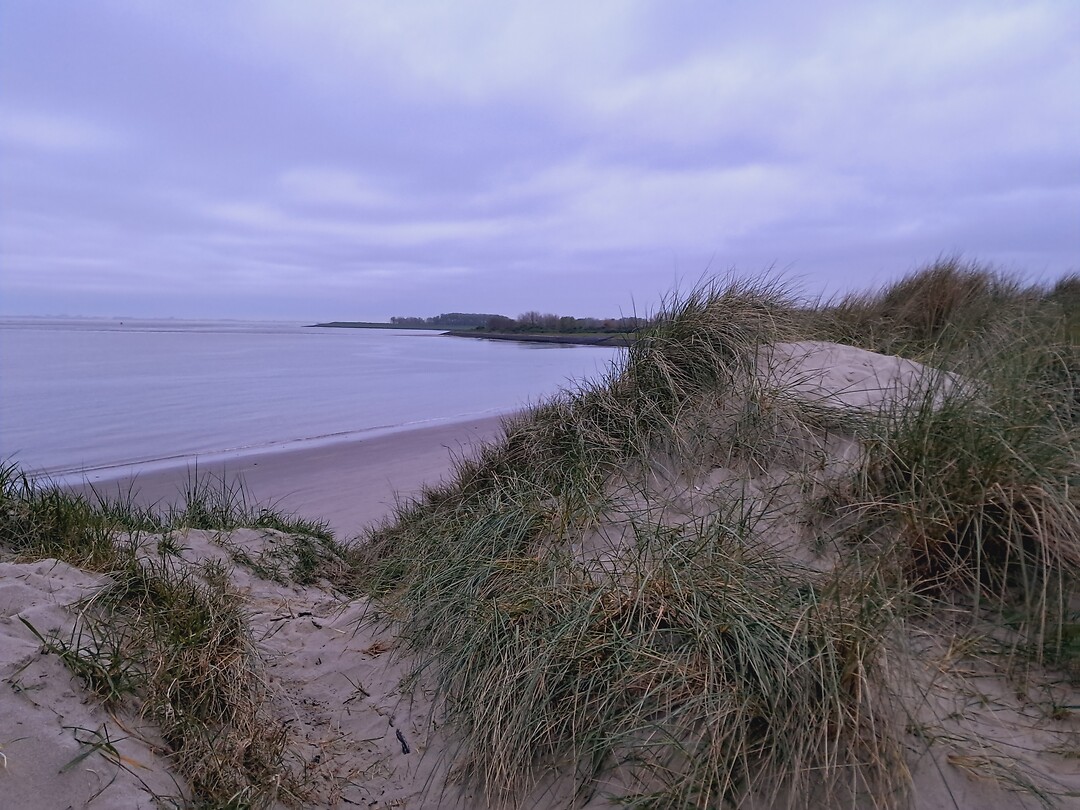 Strand