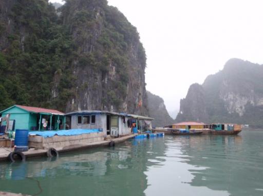Halong Bay 0071