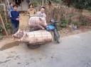 Sapa -> PaSo.0181
