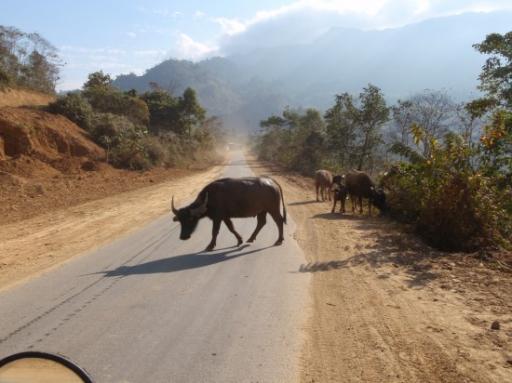 Sapa -> PaSo.0197