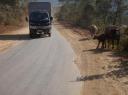 Sapa -> PaSo.0199