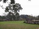 P1150448-550
