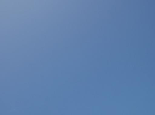 P1170520-550