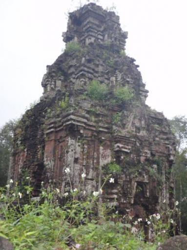 P1180553-550