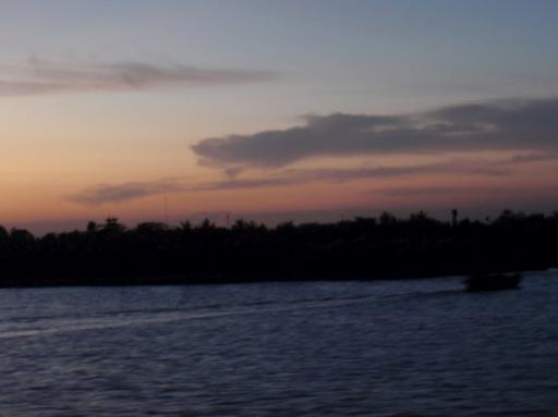 P1230661-550