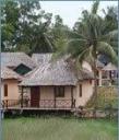 Thai_Tan_Tien_Bungalow