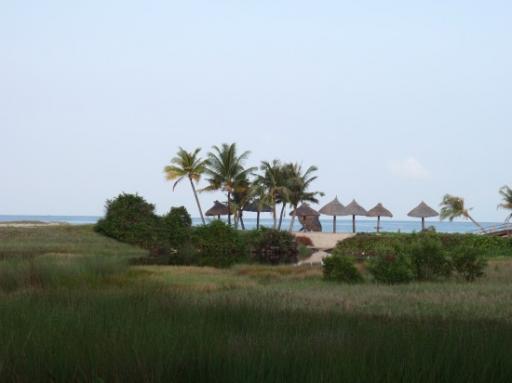 P1280752-550