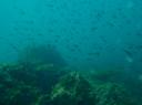 P1280804-550