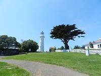 Tiritiri Matangi