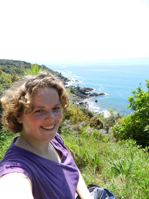 Tiritiri Matangi