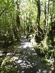 Tongariro Crossing