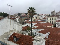 Sao Miguel