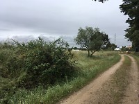 Wandeling tusse de velden