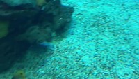 Oceanario