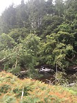 Wandeling langs de rivier