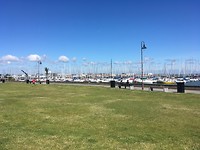 Howth, populair bij meeuwen en mensen.