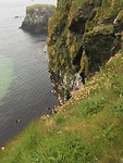 Ballintoy