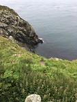 Torr head
