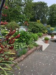 De mooie tuin