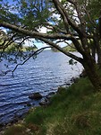 Glenveagh