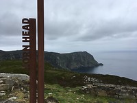 Horn head