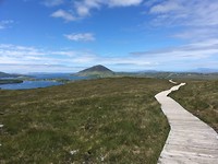 Het wandelpad
