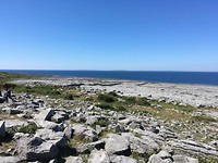 Burren