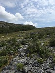 De blauwe wandeling in Burren nationaal park