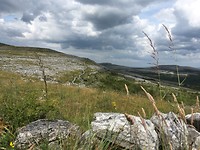 Het landschap