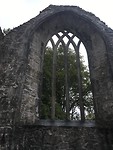 Abbey of Muckross