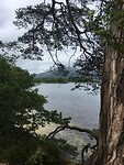 Muckross