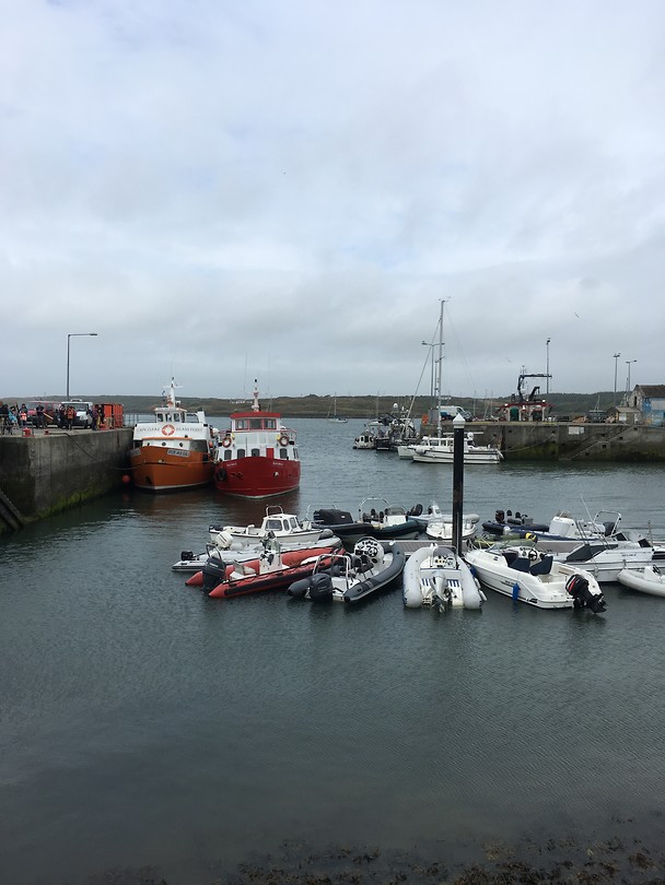 Bootjes