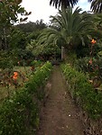Heerlijk wandelen in de tuin van ons hotel