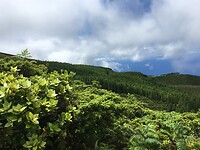 Pico da Logoinha
