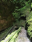 Algar do Calvao