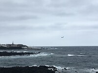 Santa cruz