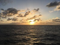 De zonsondergang op de ferry