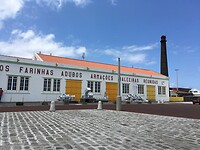 Walvisfabriek