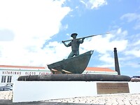 Walvisjacht