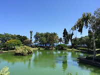 Het park