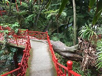 De Japanse tuin