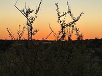 Zonsondergang in Kalahari