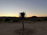 Zonsopgang