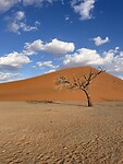 Dune 45