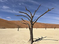 Deadvlei